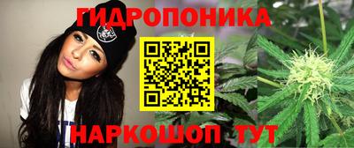 сатива Пыть-Ях