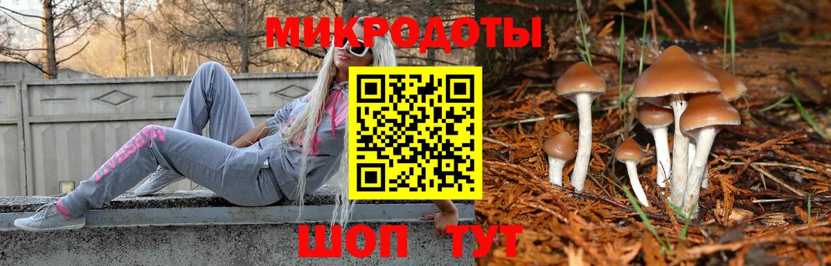 Псилоцибиновые грибы прущие грибы Пыть-Ях